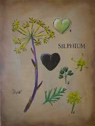 Forgotten Technologies - Silphium