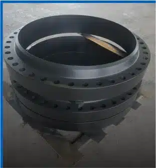 Petrochemical Flanges