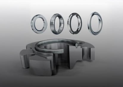 Ring Joint Flanges